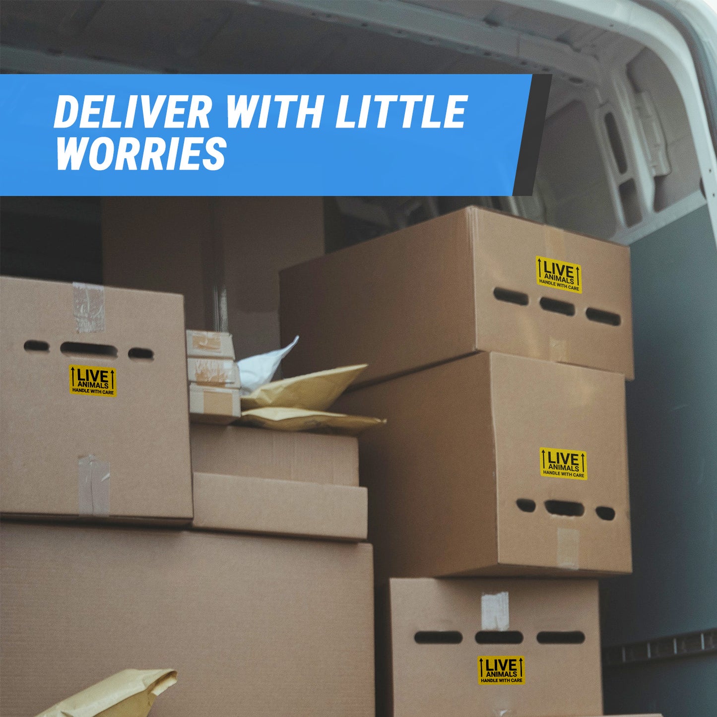 3 x 2 inch | Shipping & Handling: This Side Up, Live Animals Stickers