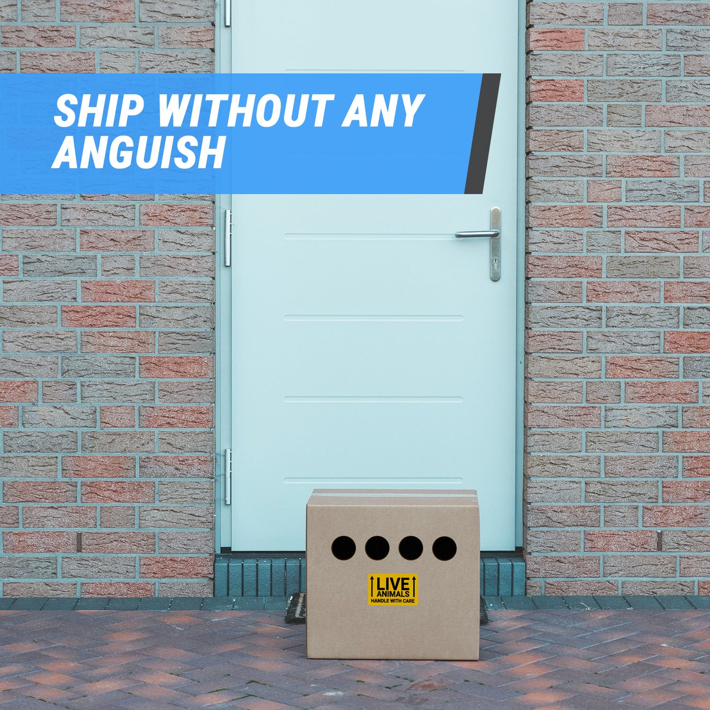 3 x 2 inch | Shipping & Handling: This Side Up, Live Animals Stickers