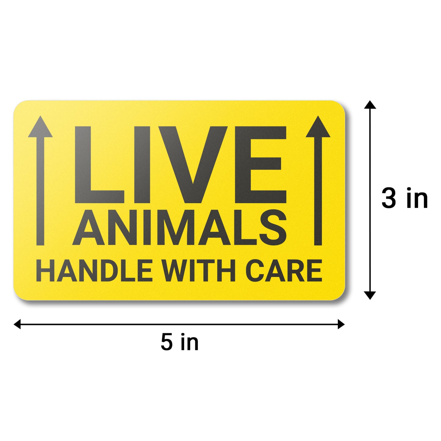 5 x 3 inch | Shipping & Handling: Handle with Care, Live Animals Stickers