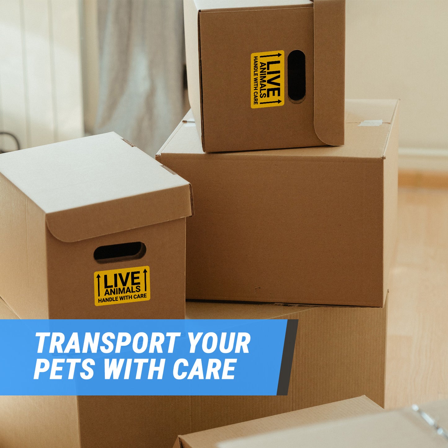 5 x 3 inch | Shipping & Handling: Handle with Care, Live Animals Stickers