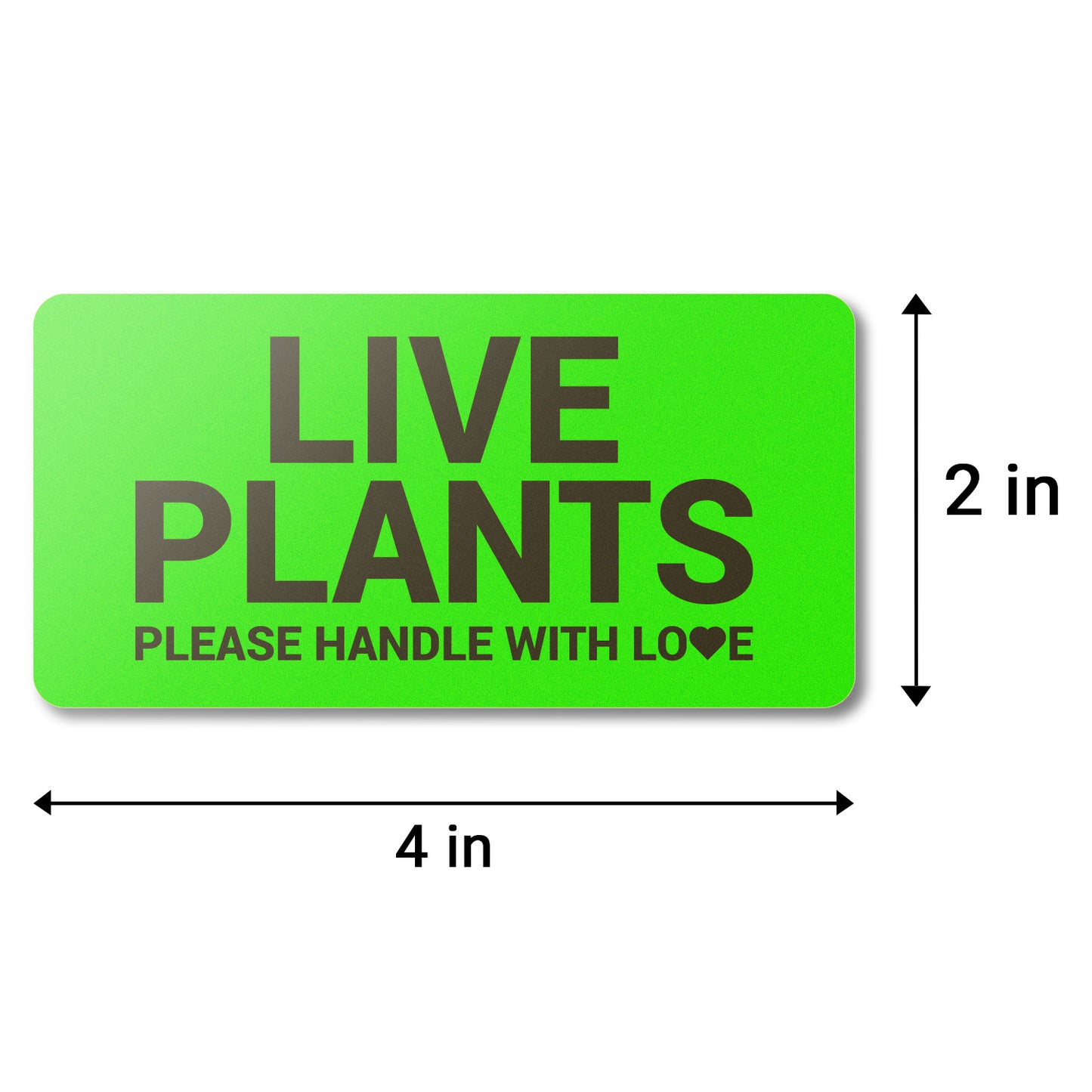 4 x 2 inch | Shipping & Handling: Please Handle with Love, Live Plants Stickers