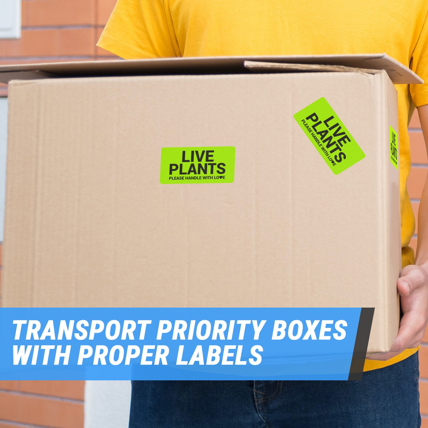 4 x 2 inch | Shipping & Handling: Please Handle with Love, Live Plants Stickers