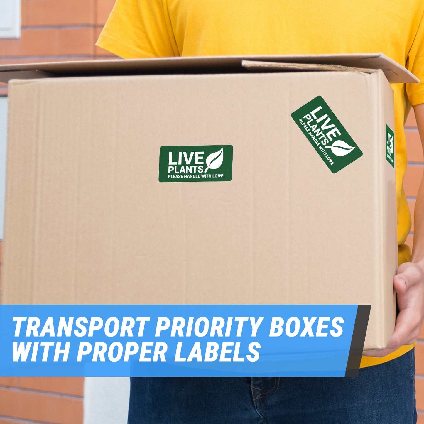 4 x 2 inch | Shipping & Handling: Please Handle with Love, Live Plants Stickers