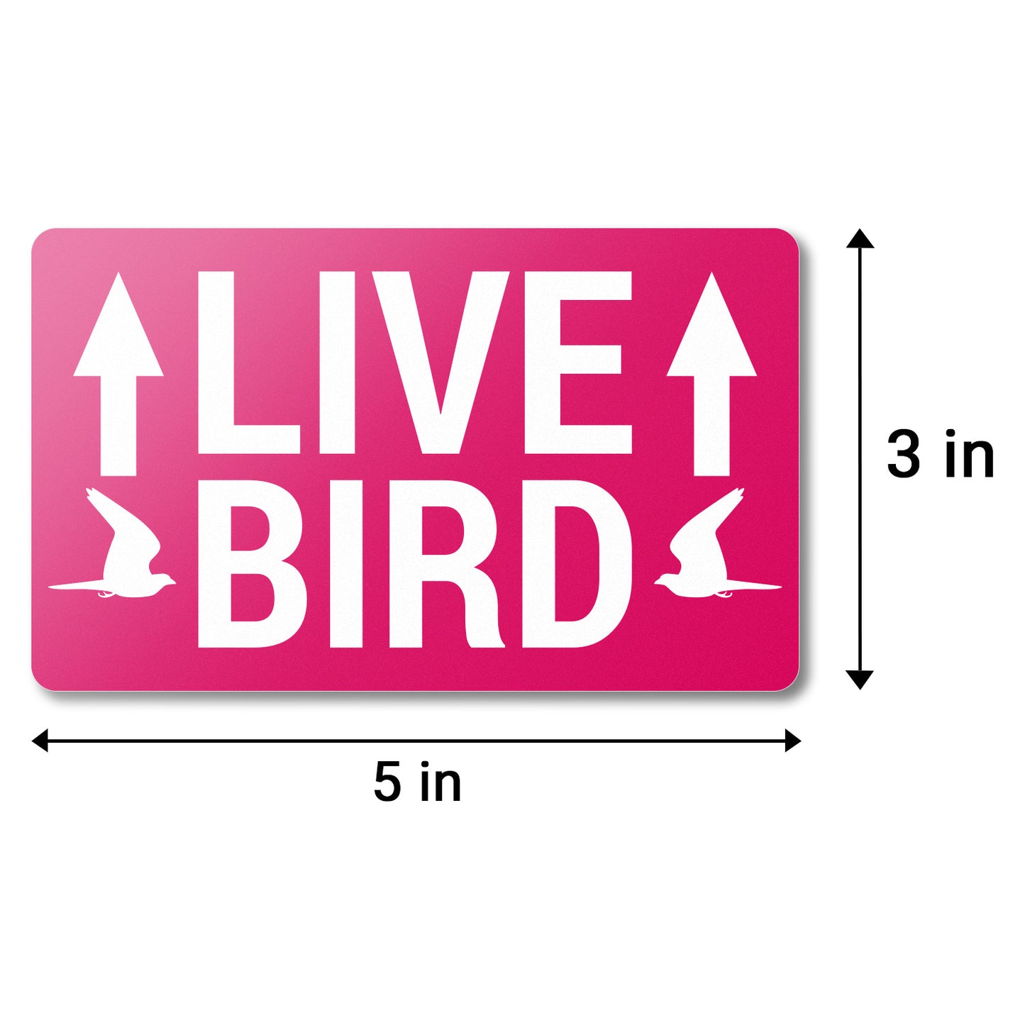 5 x 3 inch | Shipping & Handling: This Side Up, Live Bird Stickers