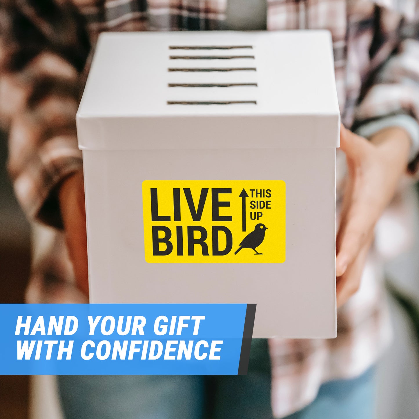 5 x 3 inch | Shipping & Handling: This Side Up, Live Bird Stickers