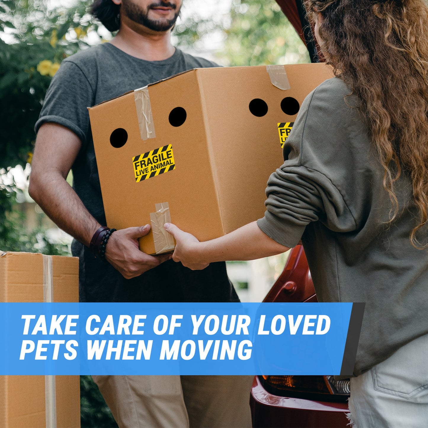 5 x 3 inch | Shipping & Handling: Fragile, Live Animals Stickers