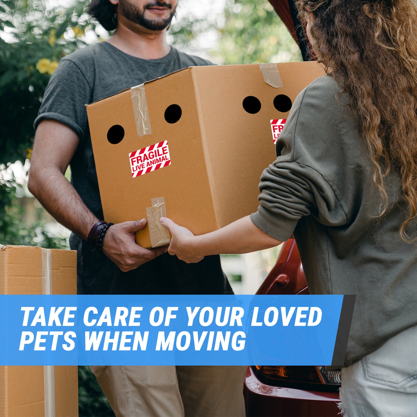 5 x 3 inch | Shipping & Handling: Fragile, Live Animals Stickers