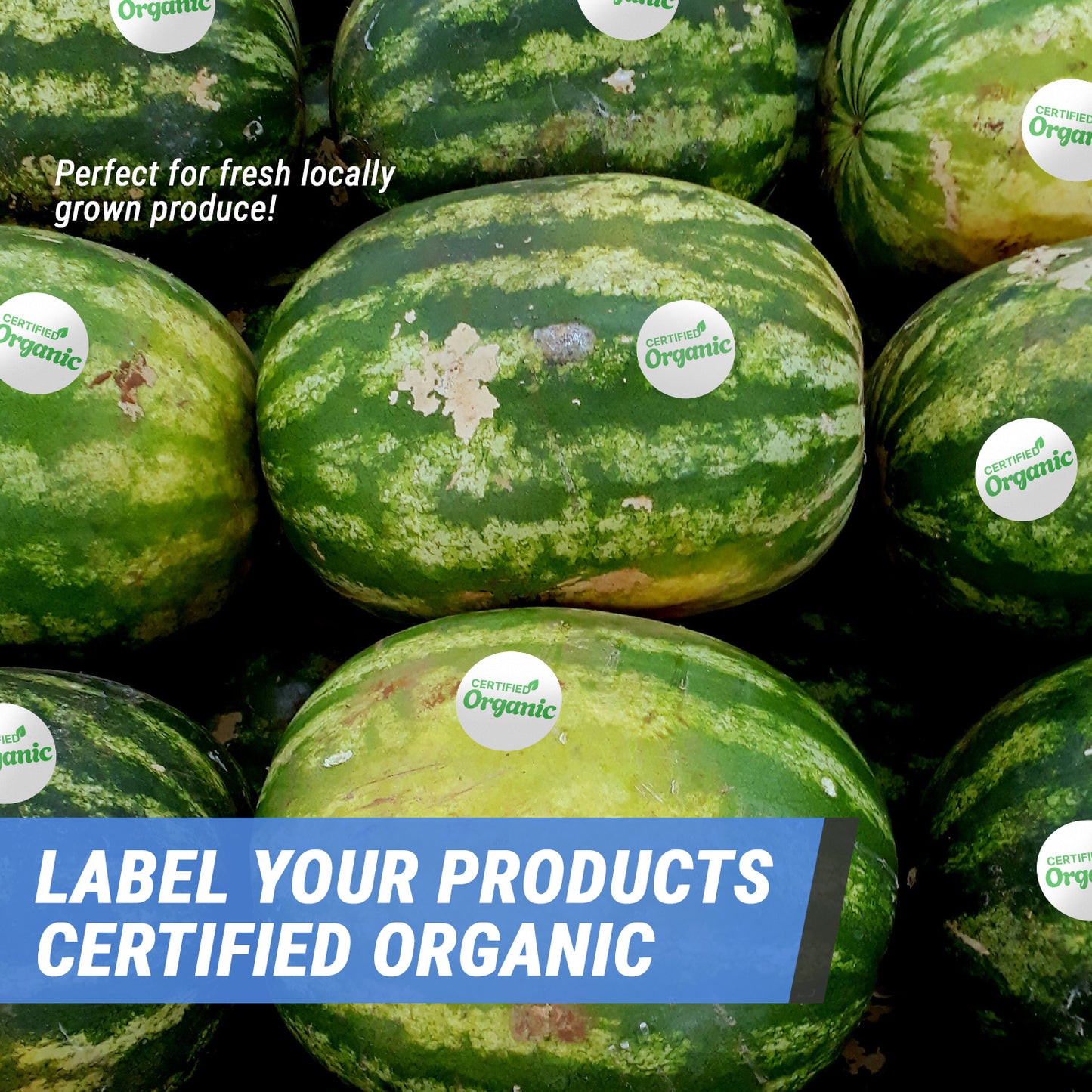 1.5 inch | Food Labeling: Certified Organic Labels