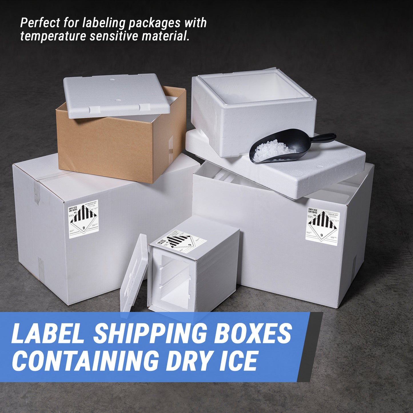 6 x 6 inch | Shipping & Handling Label: Dry Ice