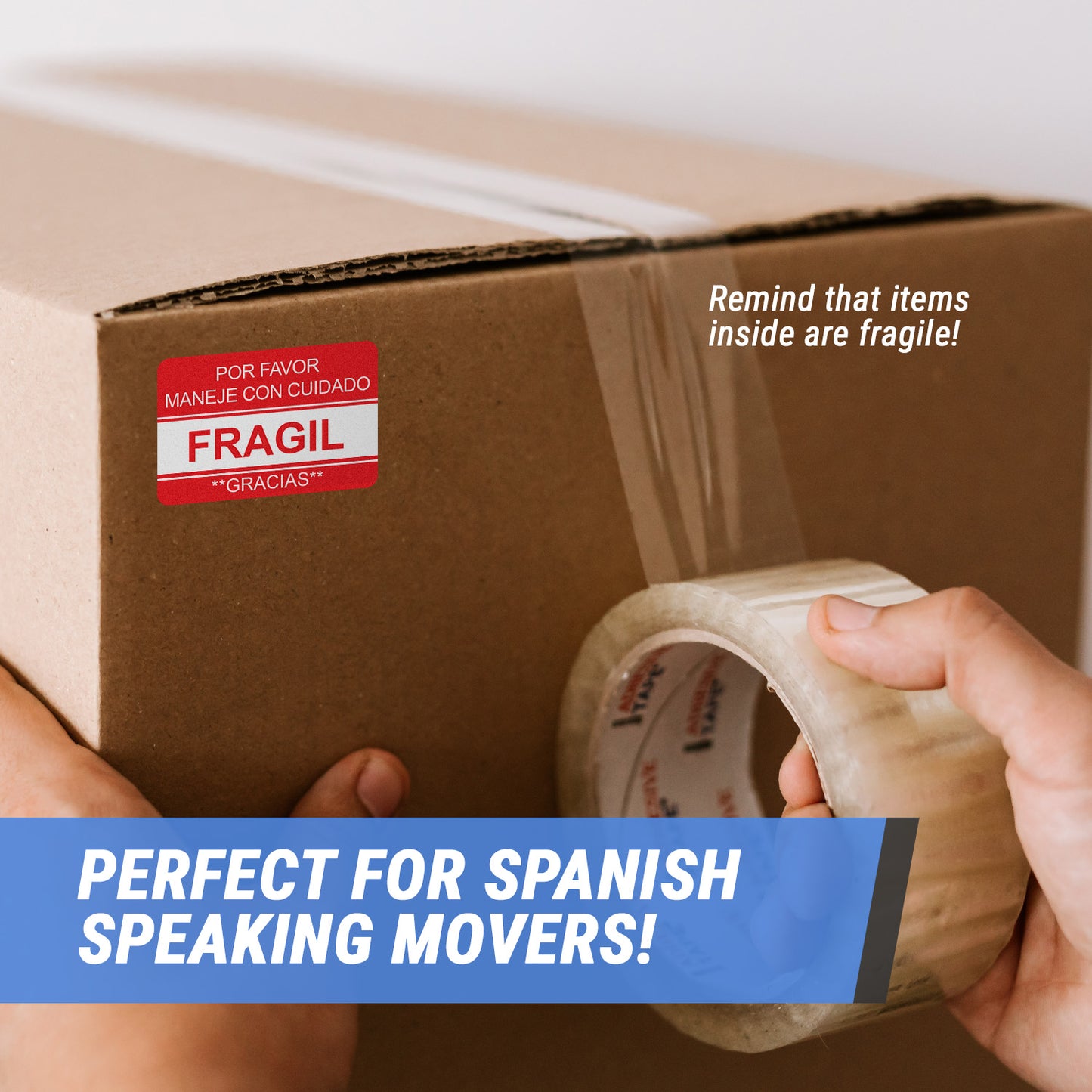 3 x 2 inch | Shipping & Handling: Fragil Etiqueta (Spanish) / Fragile Stickers