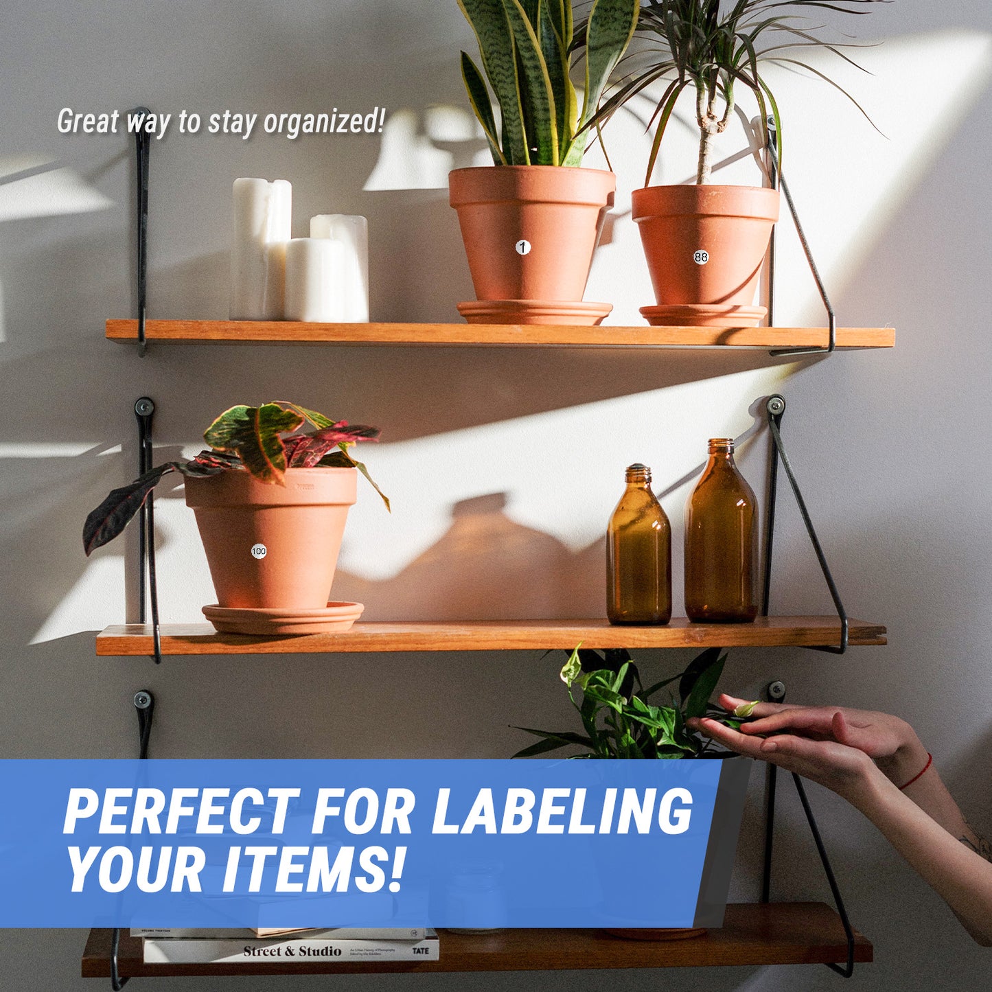 0.5 inch | Inventory: Consecutive Numbers 1-100 Stickers (3 Sets)