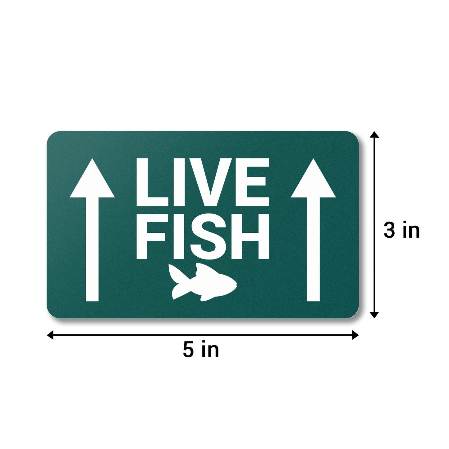 5 x 3 inch | This Side Up, Live Fish Stickers