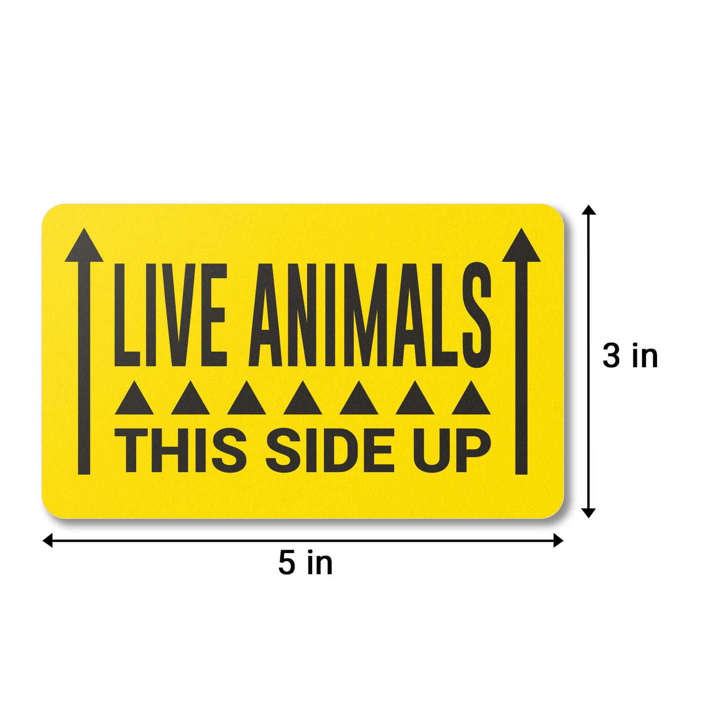 5 x 3 inch | Shipping & Handling: This Side Up, Live Animals Stickers