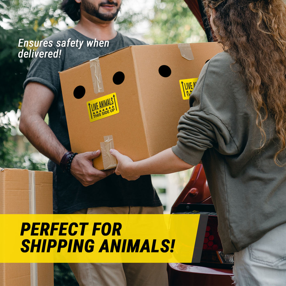 Handling Unit Sticker 5 x 3 inch | Shipping & Handling: This Side Up, Live Animals Stickers ...