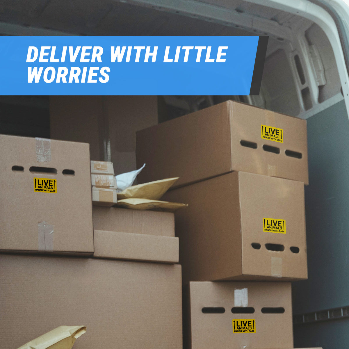Handling Unit Sticker 3 x 2 inch | Shipping & Handling: This Side Up, Live Animals Stickers ...