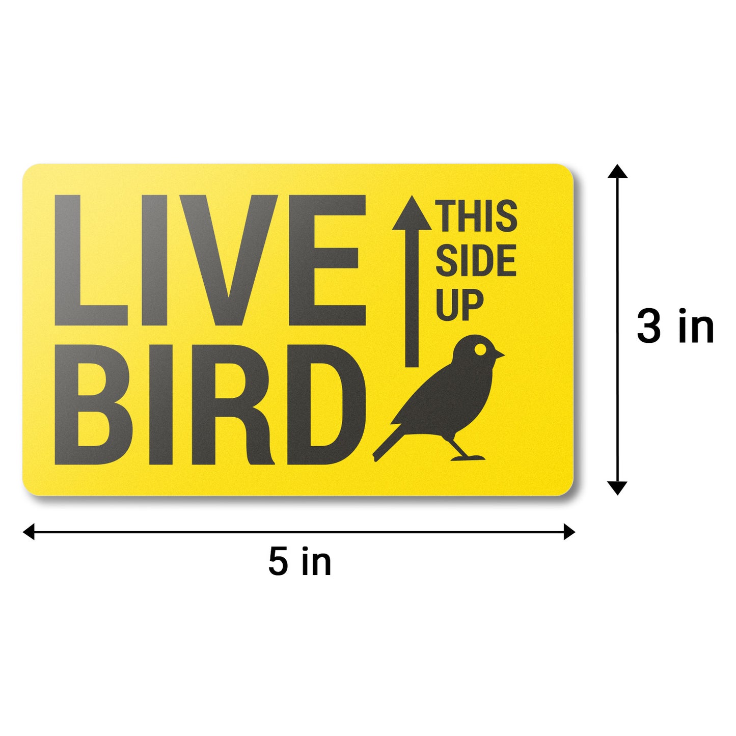 5 x 3 inch | Shipping & Handling: This Side Up, Live Bird Stickers