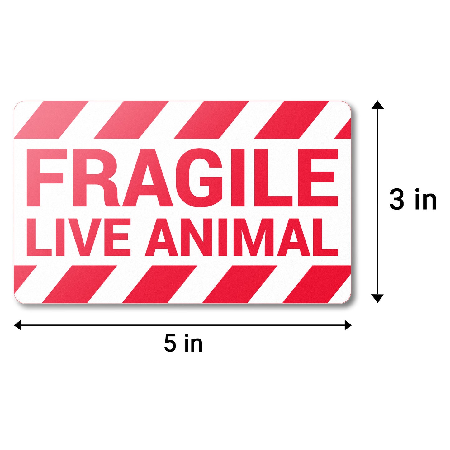 5 x 3 inch | Shipping & Handling: Fragile, Live Animals Stickers