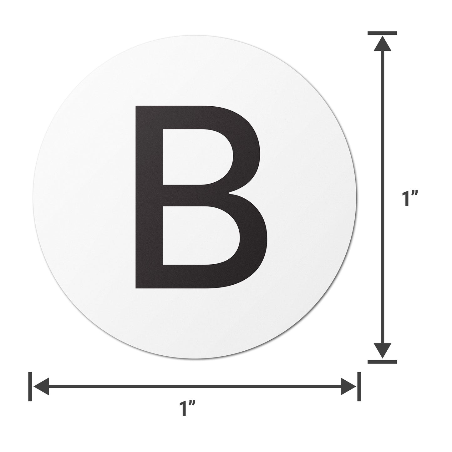 1 inch | Inventory: Capital Letter B Labels