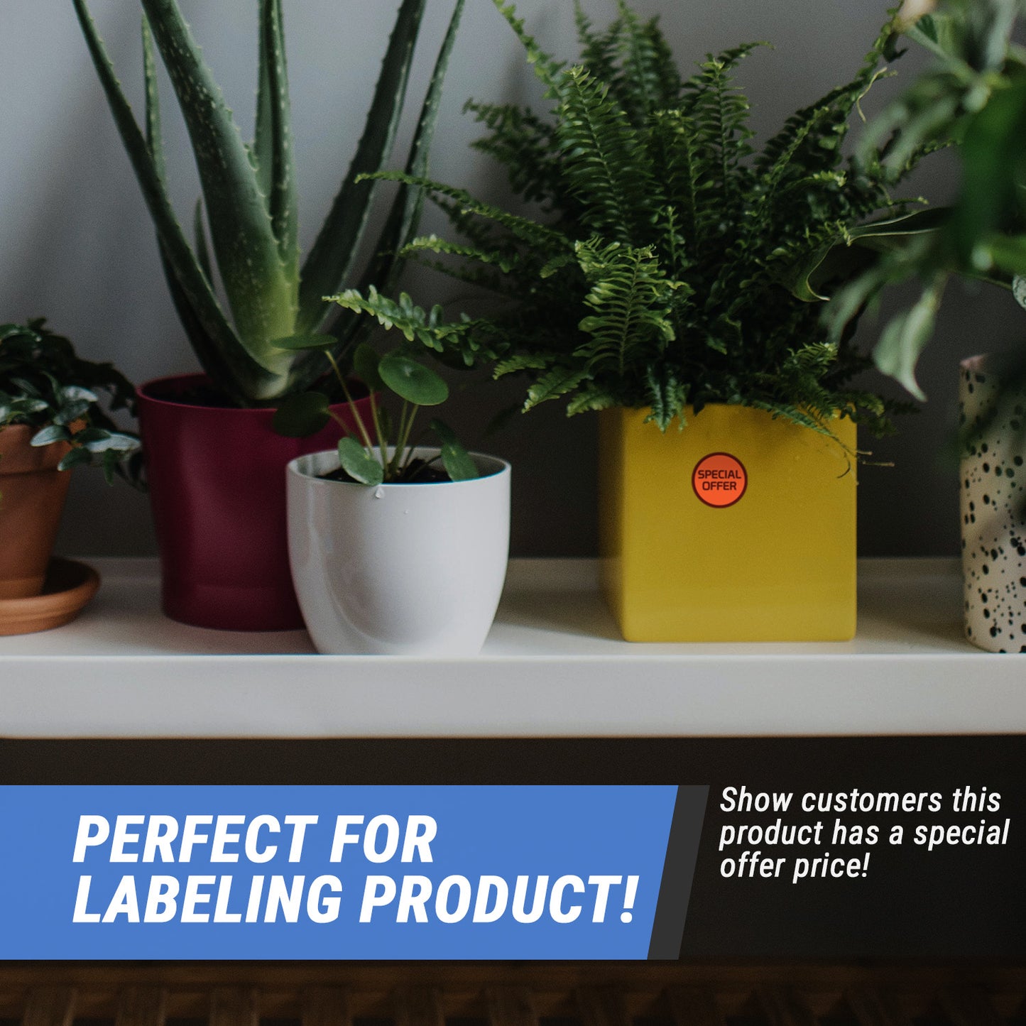 1.5 inch | Retail & Sales: Special Offer Stickers