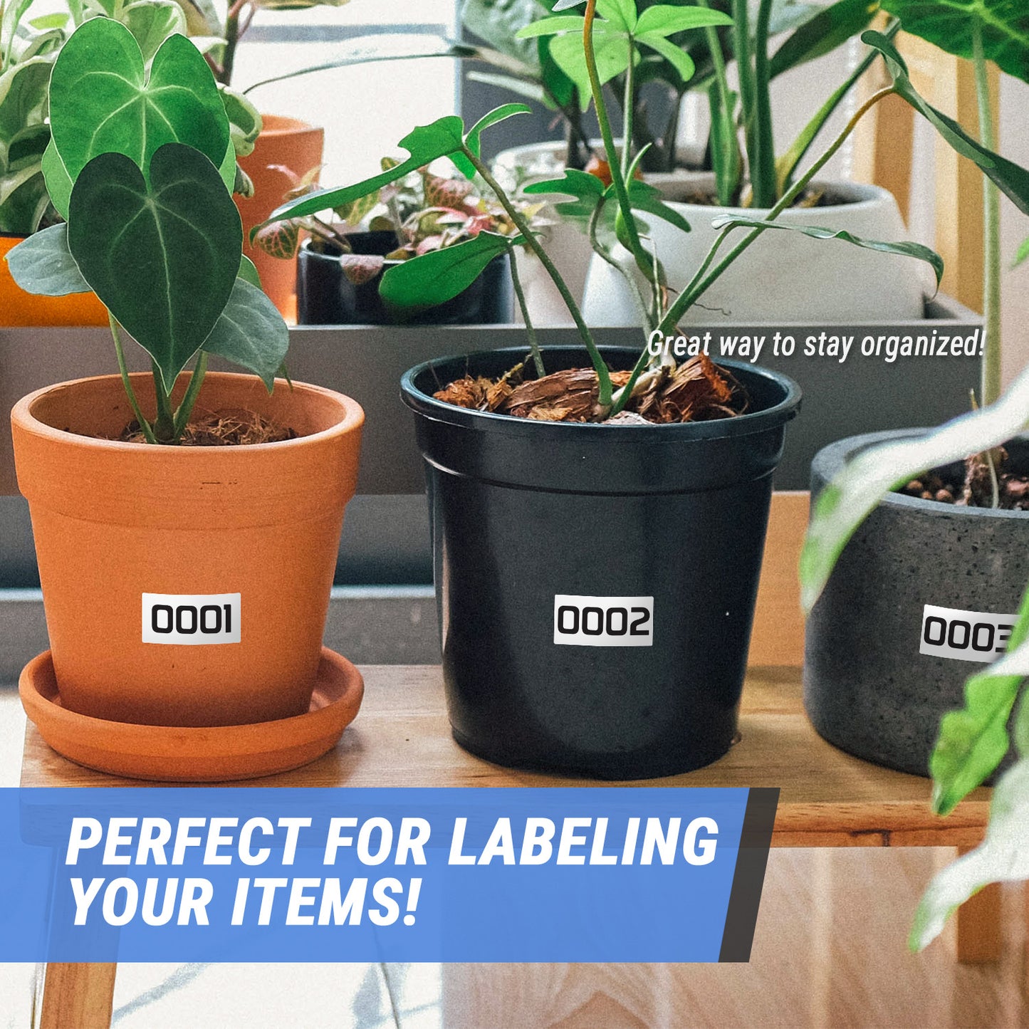 3 x 1.5 inch | Inventory: Consecutive Numbers "0001 to 1000" Stickers