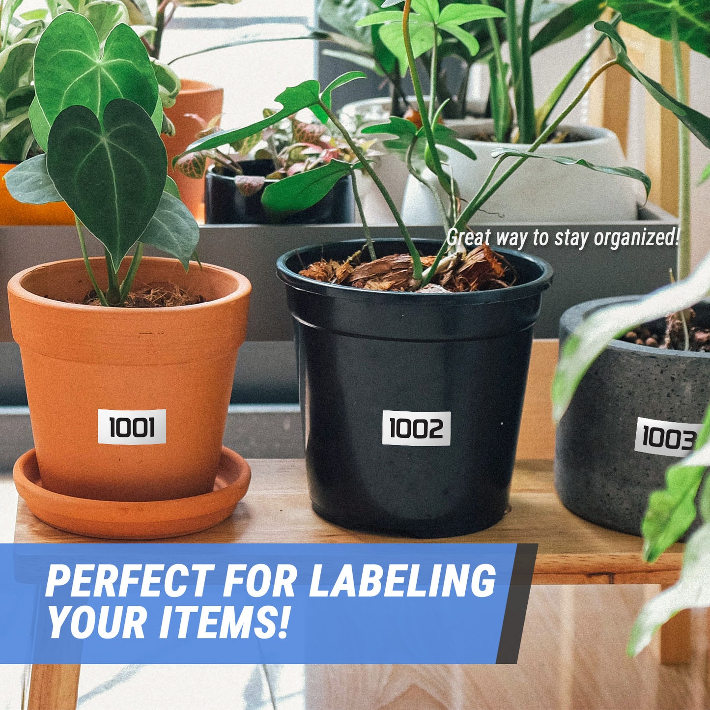 3 x 1.5 inch | Inventory: Consecutive Numbers "1001 to 2000" Stickers