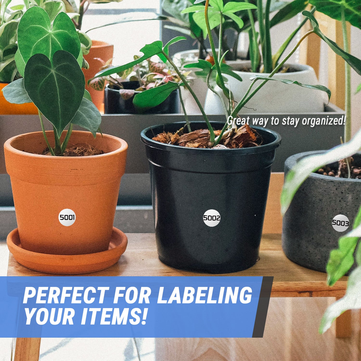 1 inch | Inventory: Consecutive Numbers