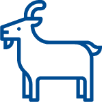 Goat icon